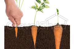 All Purpose Topsoil Example 1 Small
